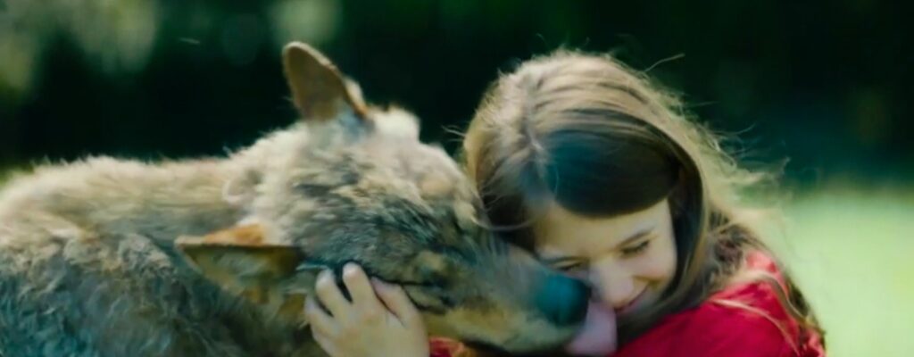 Vicky and her mistery